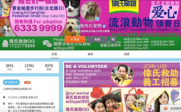 领养代替购买｜上海地区宠物救助中心，这些小生命正在等你！