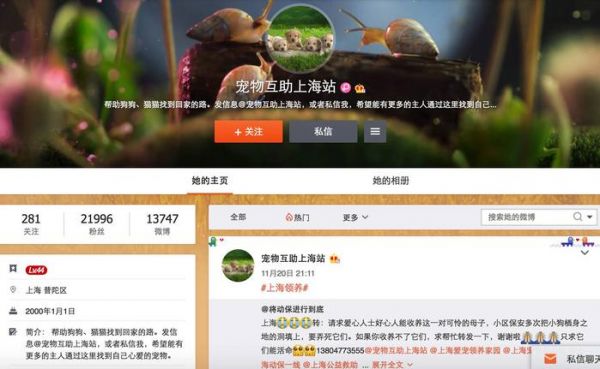 领养代替购买｜上海地区宠物救助中心，这些小生命正在等你！