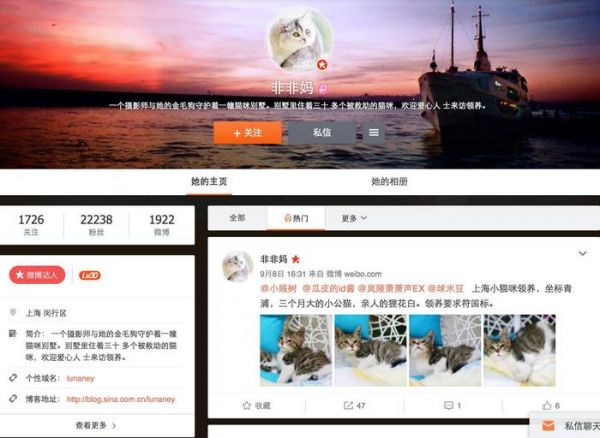 领养代替购买｜上海地区宠物救助中心，这些小生命正在等你！