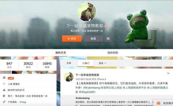 领养代替购买｜上海地区宠物救助中心，这些小生命正在等你！