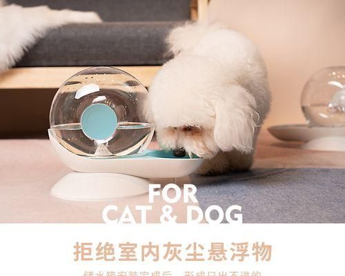 如何让宠物猫喝到适合温度的水（猫咪喝水温度注意事项与调节技巧）