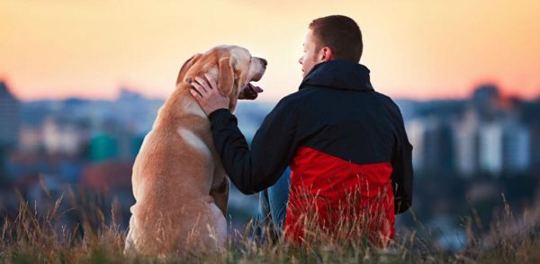 犬类行为学