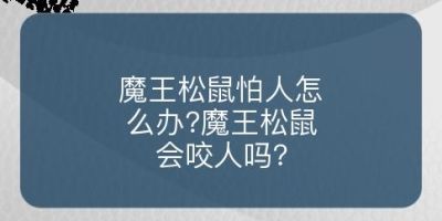 魔王松鼠怕人怎么办?魔王松鼠会咬人吗?