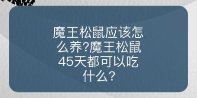 魔王松鼠应该怎么养?魔王松鼠45天都可以吃什么?