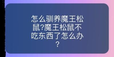 怎么驯养魔王松鼠?魔王松鼠不吃东西了怎么办?