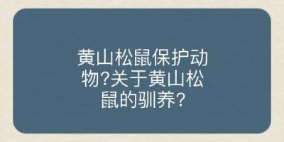 黄山松鼠保护动物?关于黄山松鼠的驯养?
