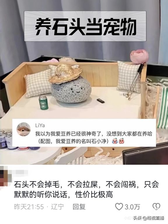 图/网络截图