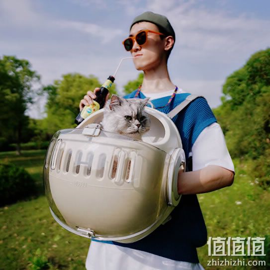 猫包哪款好？最佳猫包推荐