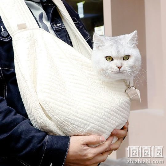 猫包哪款好？最佳猫包推荐