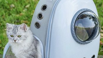 猫包外出便携包-猫咪的舒服窝，透气双肩宠物背包大容量。