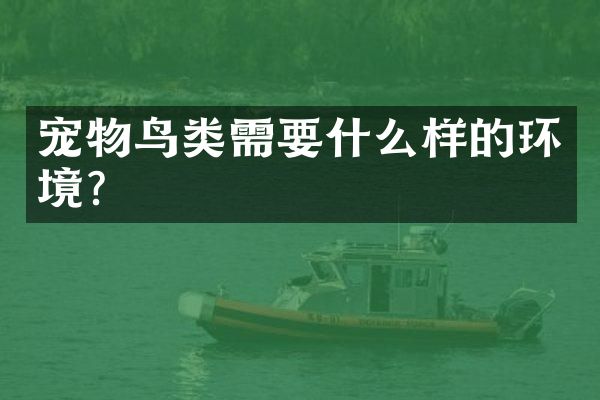宠物鸟类需要什么样的环境？