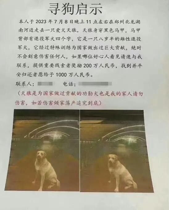 郑州狗主悬赏1000万人民币寻狗，提供线索都有200万！