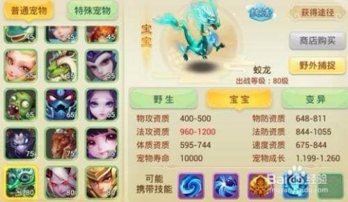 西游女儿国合宠技巧