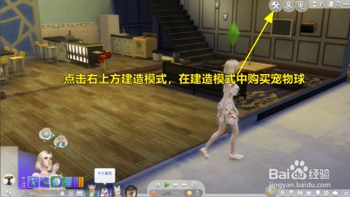 模拟人生怎么和宠物玩你丢我捡？