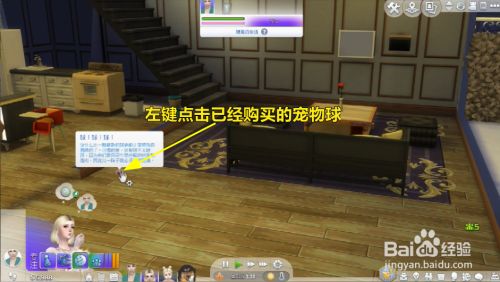模拟人生怎么和宠物玩你丢我捡？