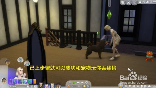 模拟人生怎么和宠物玩你丢我捡？