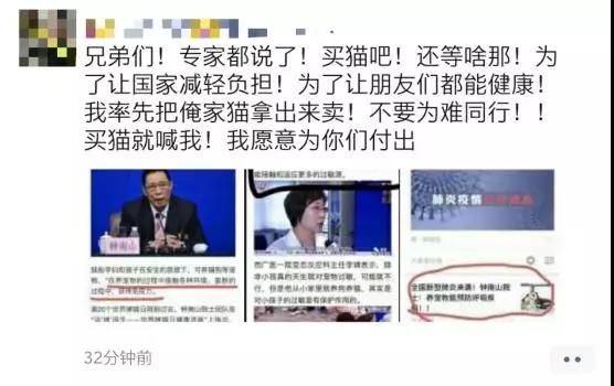 养猫能预防新型冠状病毒 养猫能提高抵抗力=抗病毒?