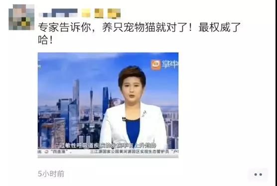 养猫能预防新型冠状病毒 养猫能提高抵抗力=抗病毒?