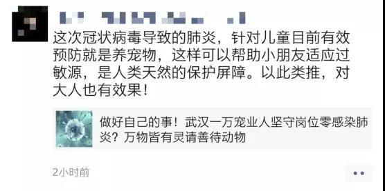养猫能预防新型冠状病毒 养猫能提高抵抗力=抗病毒?