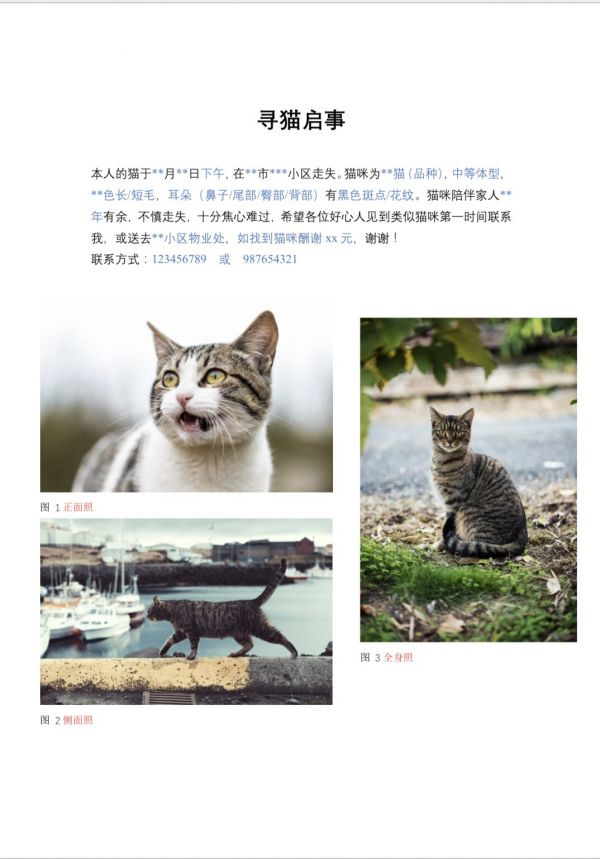 寻猫启事模板分享,记得附猫咪多角度的清晰照片