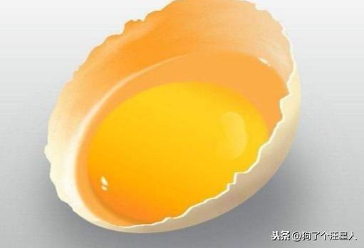 狗狗可不可以食用生鸡蛋?
