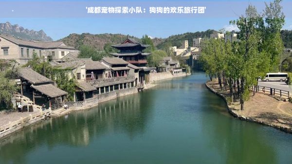 '成都宠物探索小队：狗狗的欢乐旅行团'