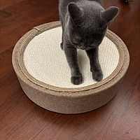 不掉屑的猫抓板猫主子也喜欢