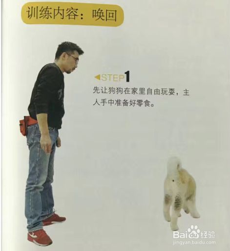 怎么给狗狗做唤回训练
