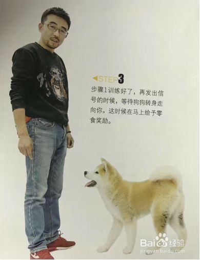 怎么给狗狗做唤回训练