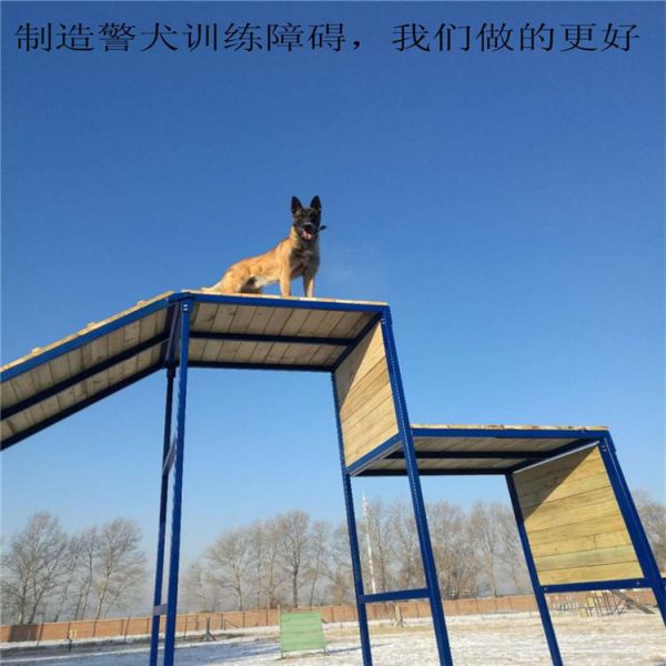 宠物犬训练器材