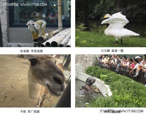奚志农动物摄影讲座暨外拍活动