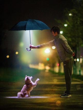 飘零宠物摄影-全国拍摄：每一只修狗，都值得一生守护。#萌宠 #宠物摄影 #柴犬