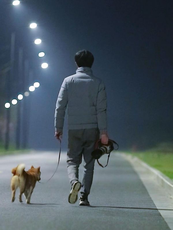 飘零宠物摄影-全国拍摄：养柴犬的这一年，我给ta拍了这些照片。#宠物 #萌宠 #柴犬 #宠物摄影 #狗狗 #狗狗日常