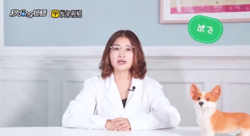 怎么饲养小鸟