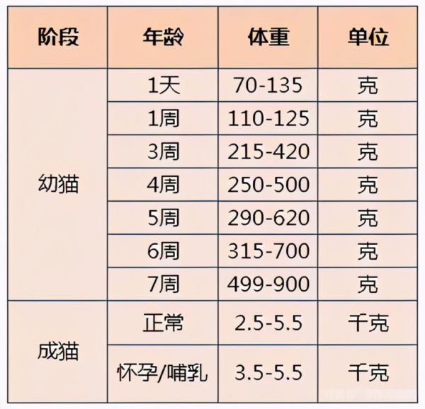 猫咪体重对照表，看看你家猫是“瘦”了还是“胖”了？