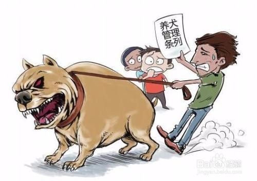 过道养狗怎么处理