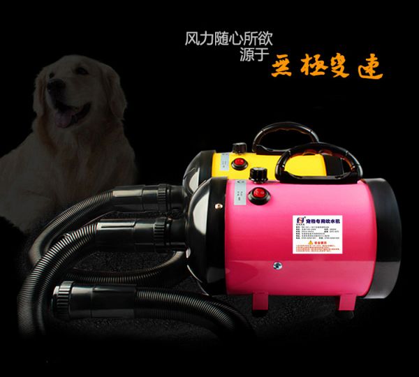 168详情1