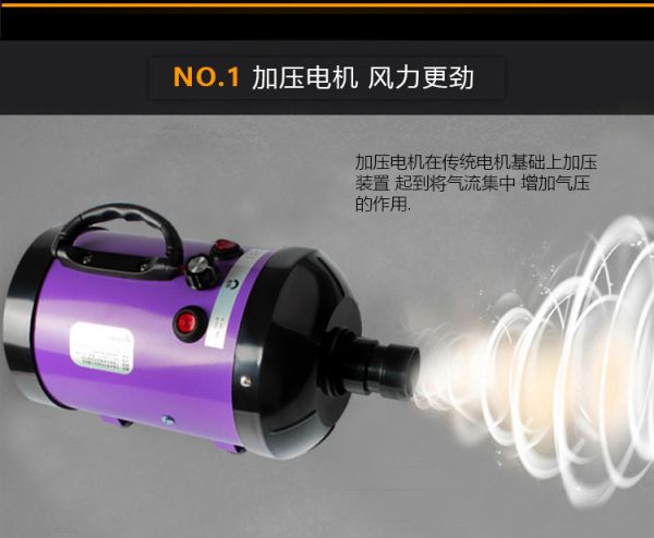 168详情7