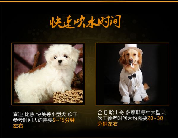 168详情5