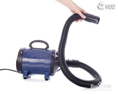 帮狗狗吹干毛发的工具有哪些？