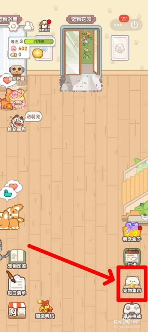 猫猫狗狗一起玩如何出售宠物