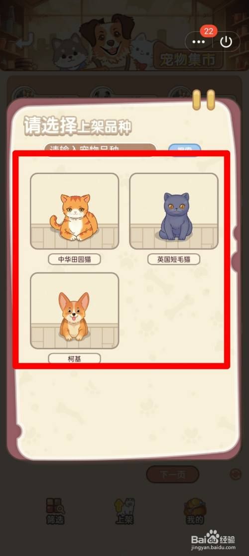 猫猫狗狗一起玩如何出售宠物