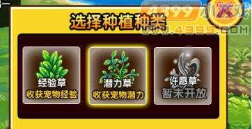 造梦西游3宠物超进化方法