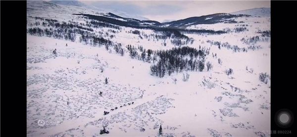 狗拉雪橇“世界杯”打响,《狗拉雪橇北极系列赛》,虎牙独家转播