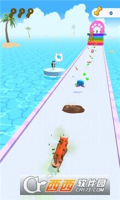 宠物美容赛跑