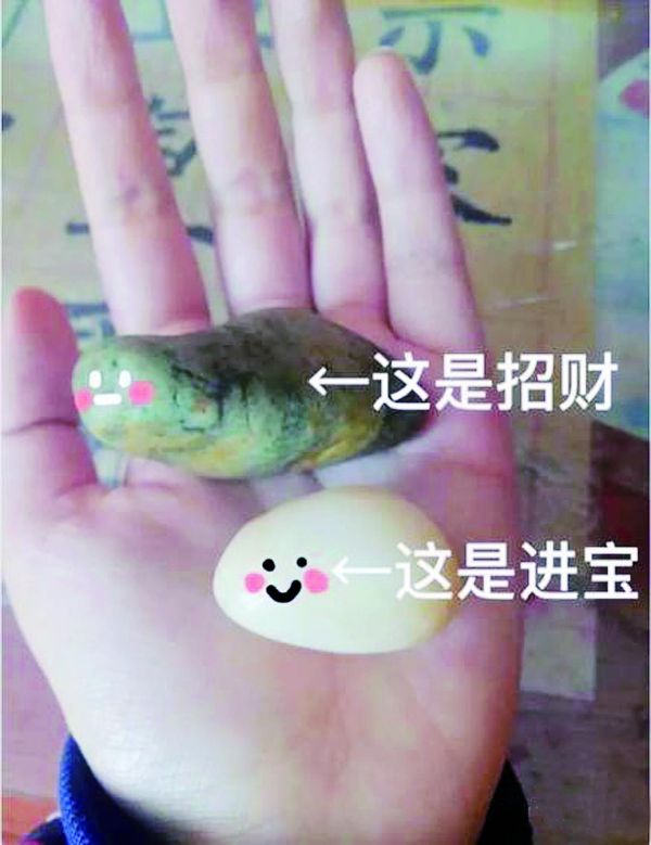 网友养的两块石头