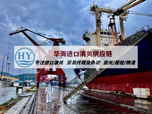 泰国宠物饲料清关公司及清关方案,宠物零食报关单证咨询