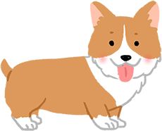 中型犬每日运动量