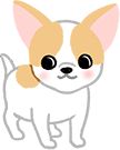 小型犬每日运动量