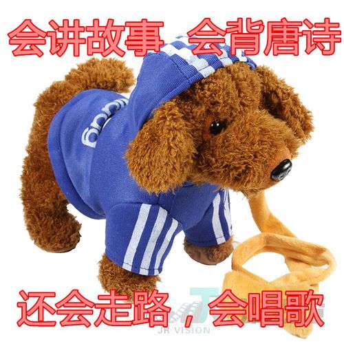 恒之星